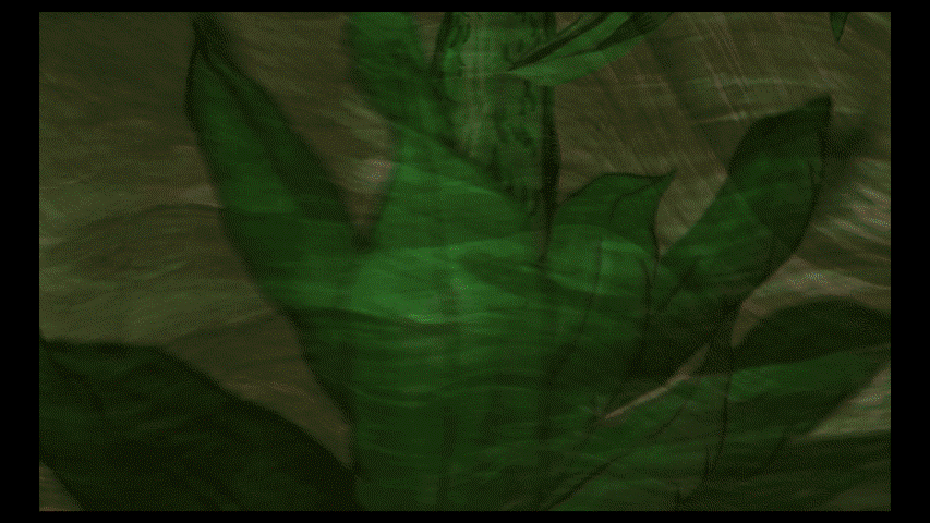 Anna Bunting-Branch, Dose Makes the Poison, 2025